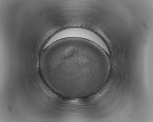 X0000110890068200906181254