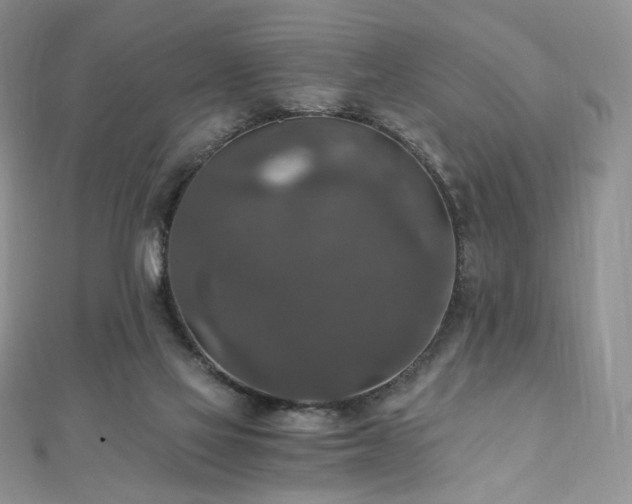X0000110890069200906181254