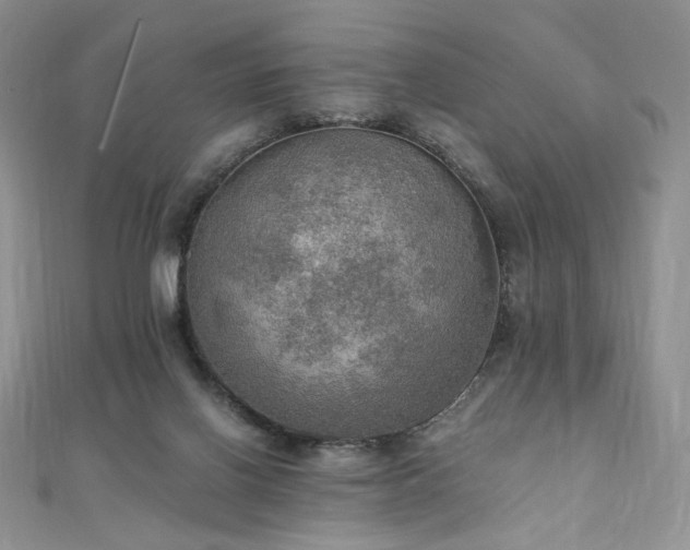 X0000110890070200906181254