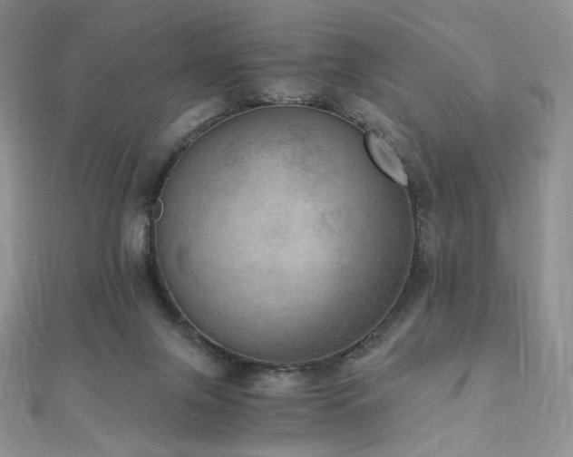 X0000110890071200906181254