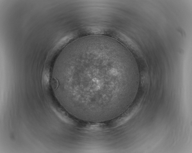 X0000110890072200906181254