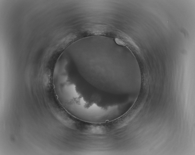 X0000110890073200906181254