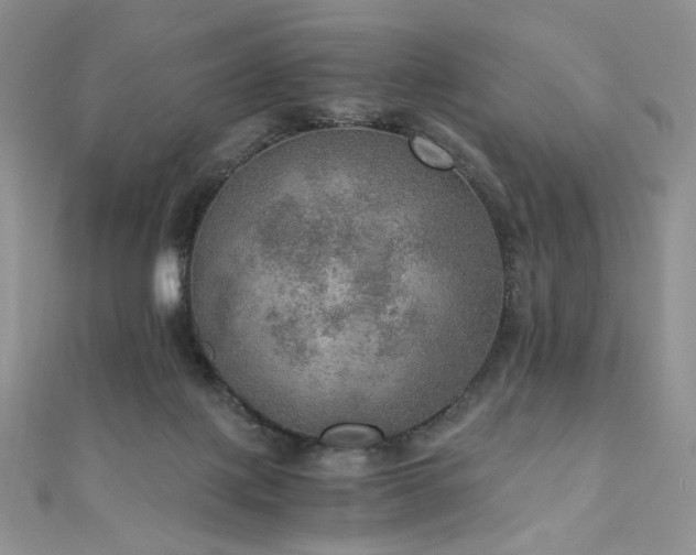 X0000110890075200906181254