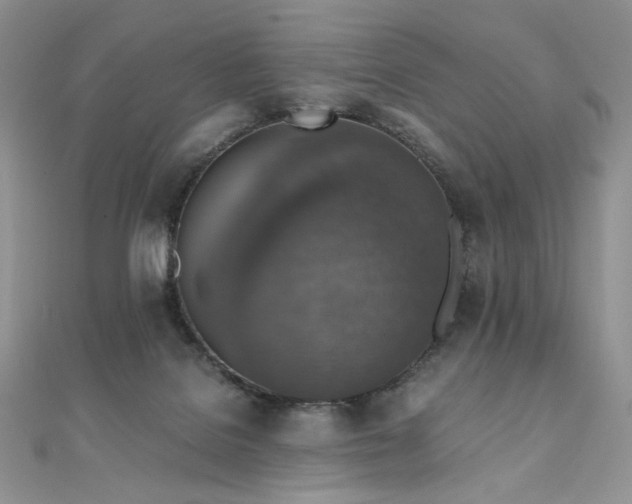 X0000110890076200906181254