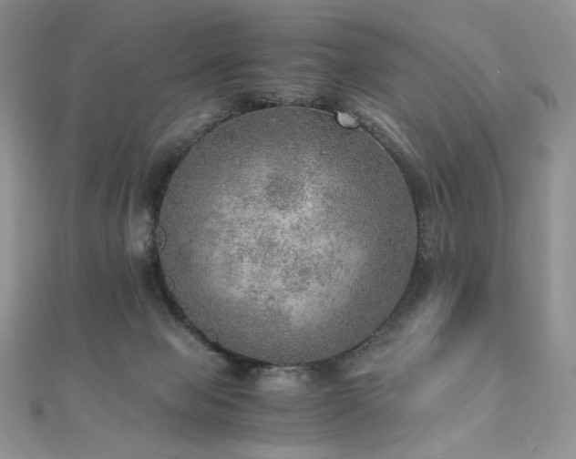 X0000110890077200906181254