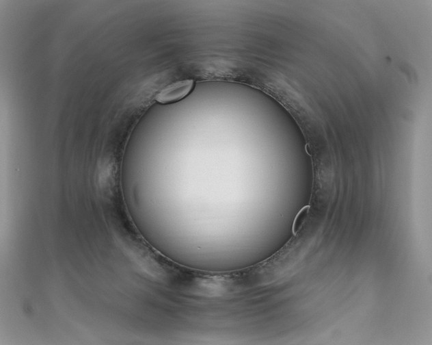 X0000110890079200906181254