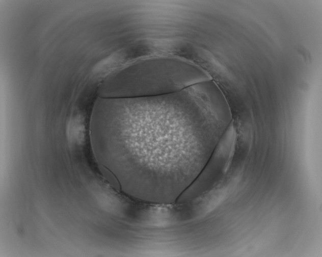 X0000110890080200906181254