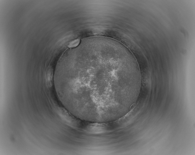 X0000110890082200906181254