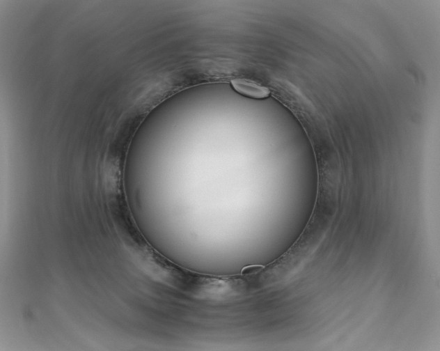 X0000110890083200906181254