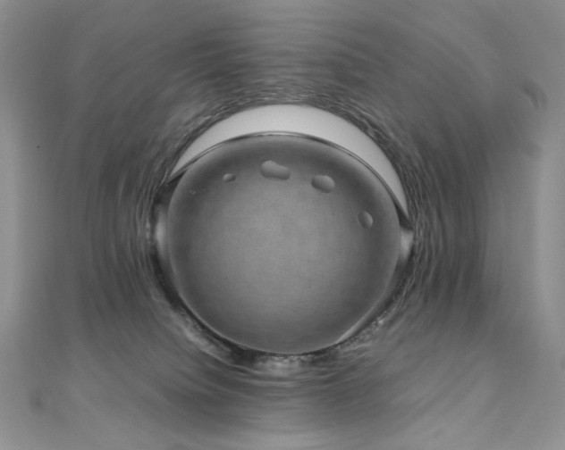 X0000110890084200906181254