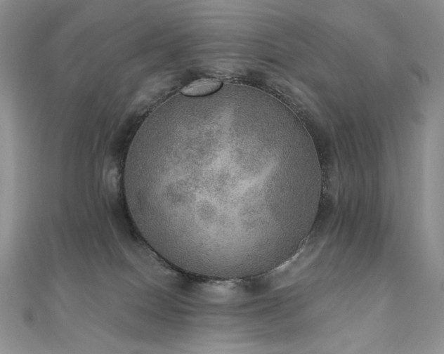 X0000110890086200906181254