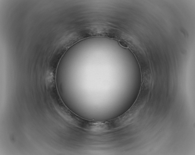 X0000110890087200906181254