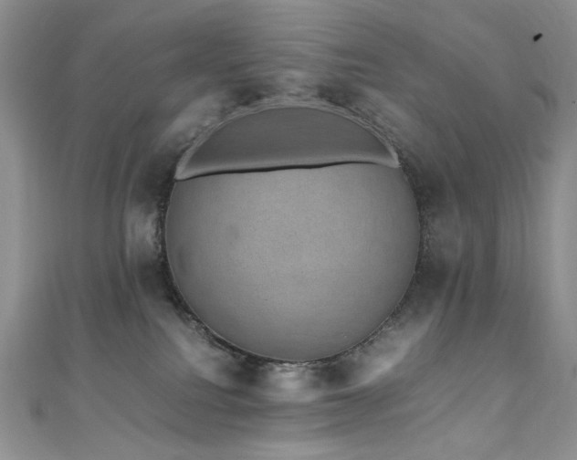 X0000110890088200906181254