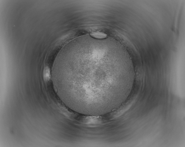 X0000110890089200906181254