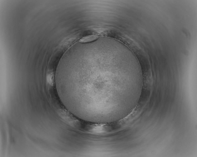 X0000110890090200906181254
