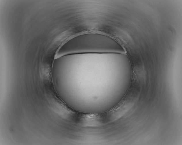 X0000110890092200906181254