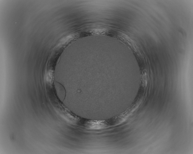 X0000110890093200906181254