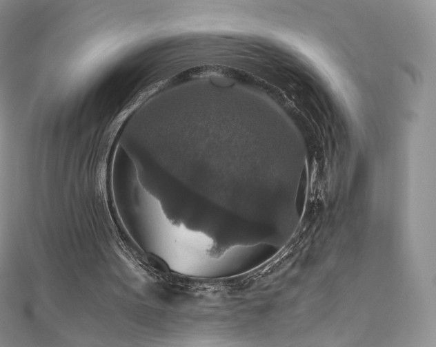 X0000110890099200906181254