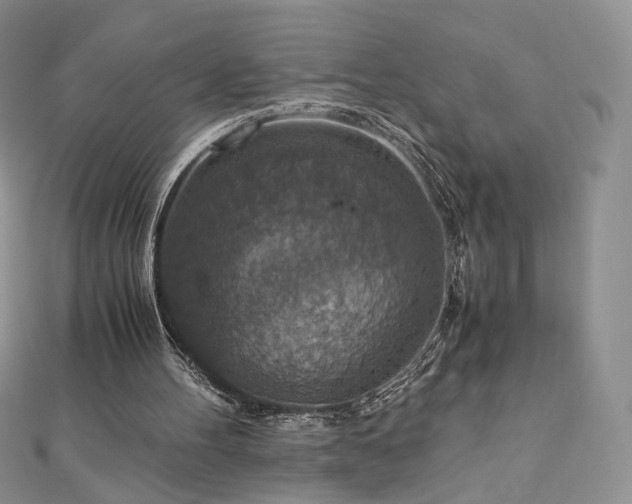 X0000110890100200906181254
