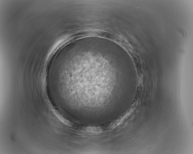 X0000110890101200906181254