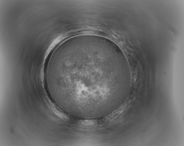 X0000110890102200906181254