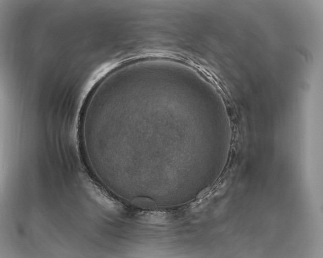 X0000110890104200906181254
