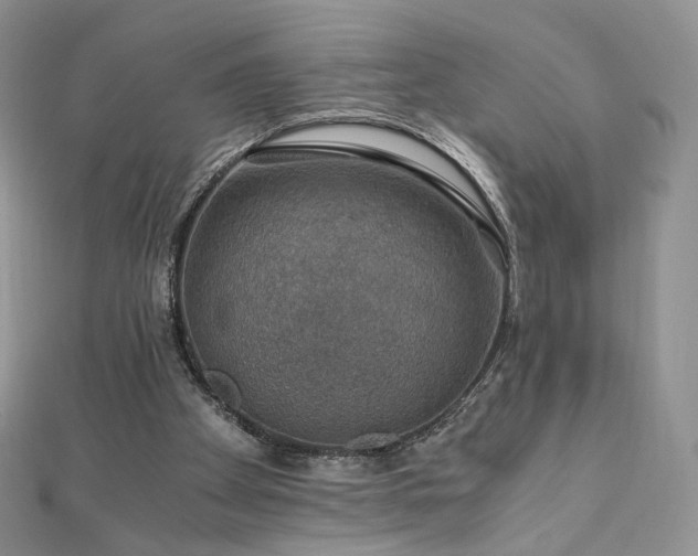 X0000110890105200906181254