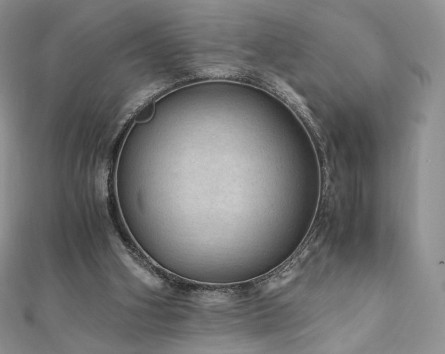 X0000110890106200906181254