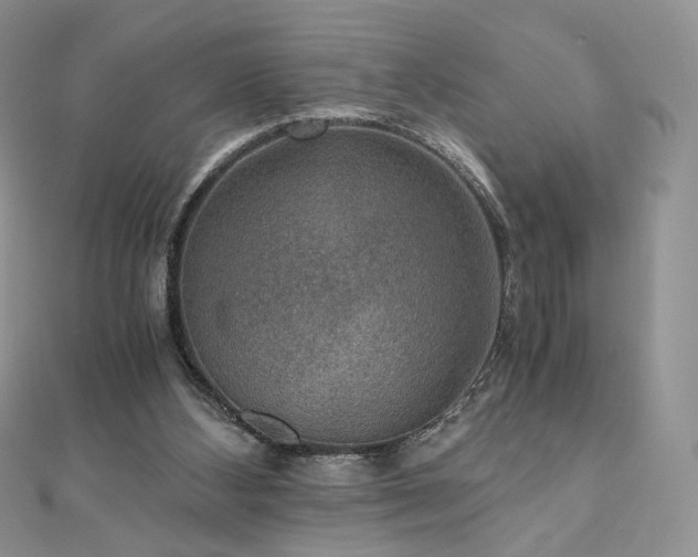 X0000110890108200906181254
