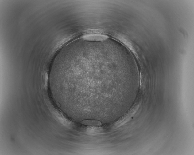 X0000110890109200906181254