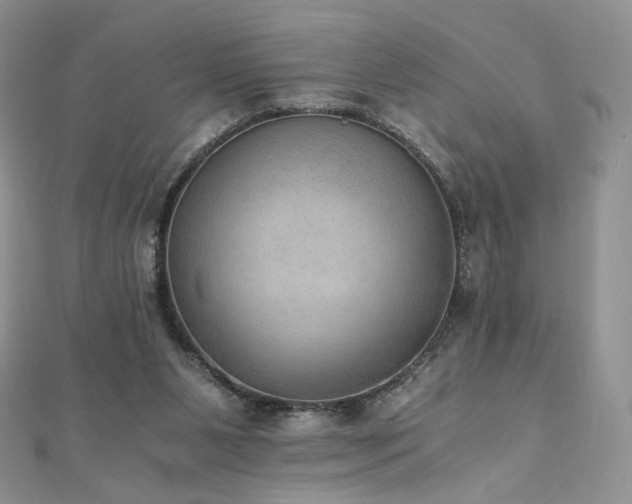 X0000110890111200906181254