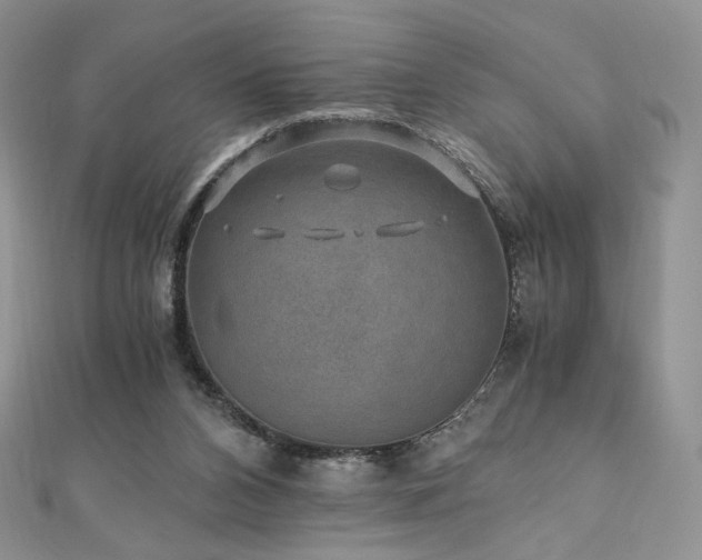 X0000110890112200906181254
