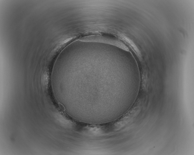 X0000110890113200906181253