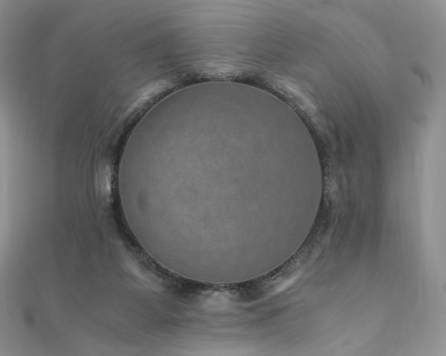 X0000110890115200906181253