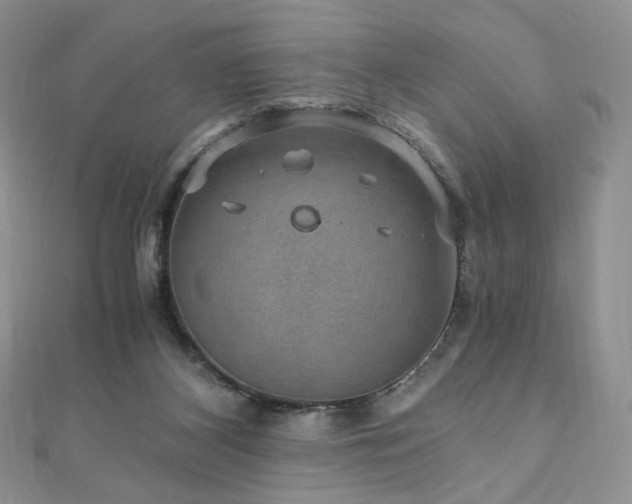 X0000110890116200906181253