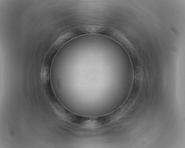 X0000110890119200906181253