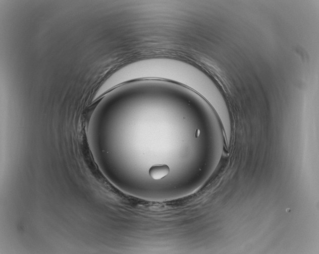 X0000110890121200906181253