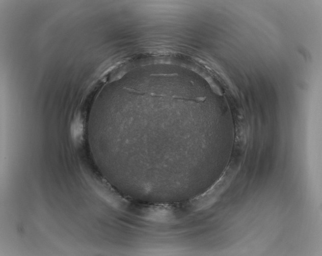 X0000110890124200906181253