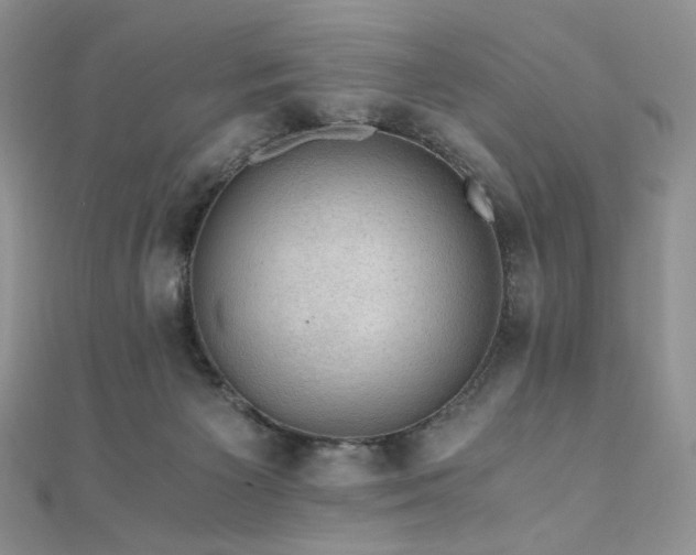 X0000110890125200906181253