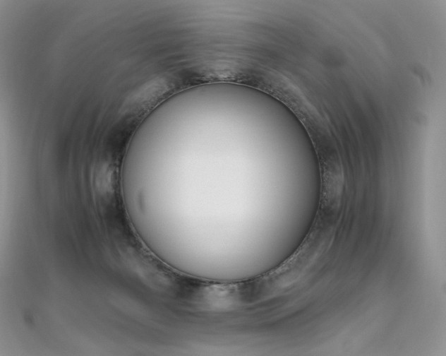 X0000110890126200906181253