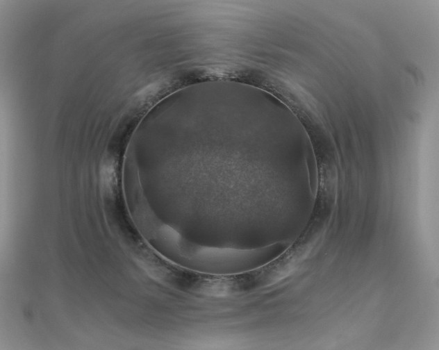 X0000110890127200906181253