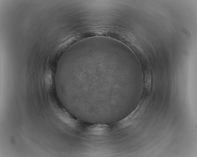 X0000110890128200906181253