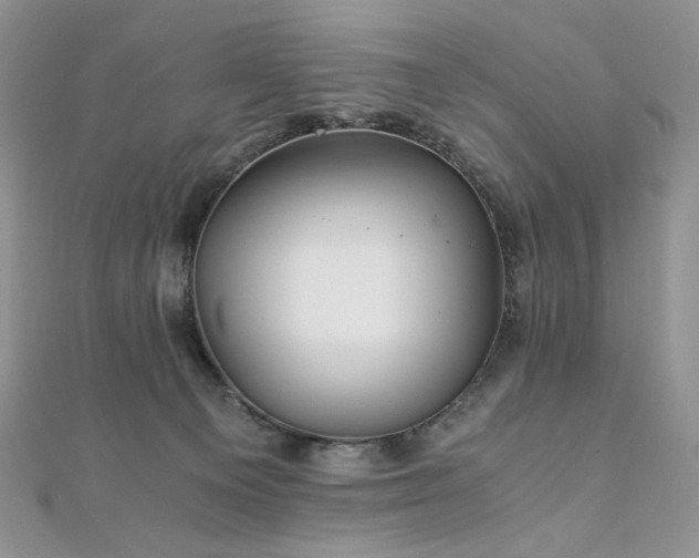 X0000110890129200906181253