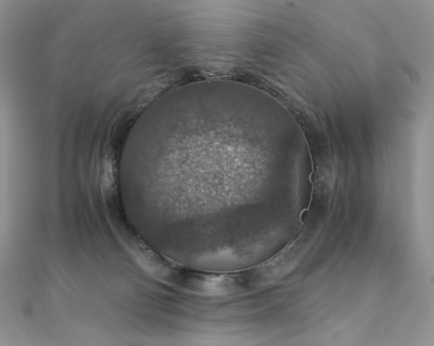 X0000110890130200906181253