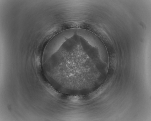 X0000110890131200906181253