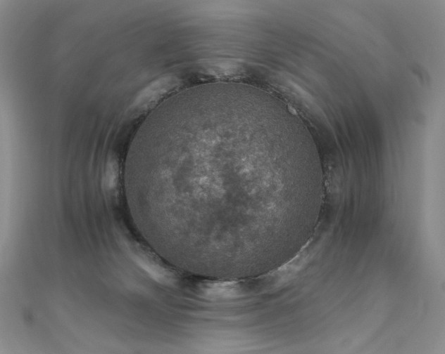 X0000110890132200906181253