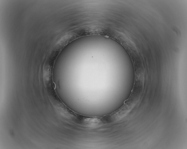X0000110890133200906181253