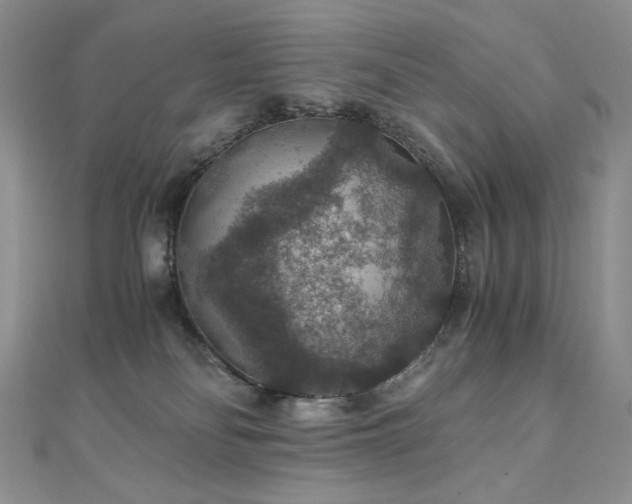 X0000110890134200906181253