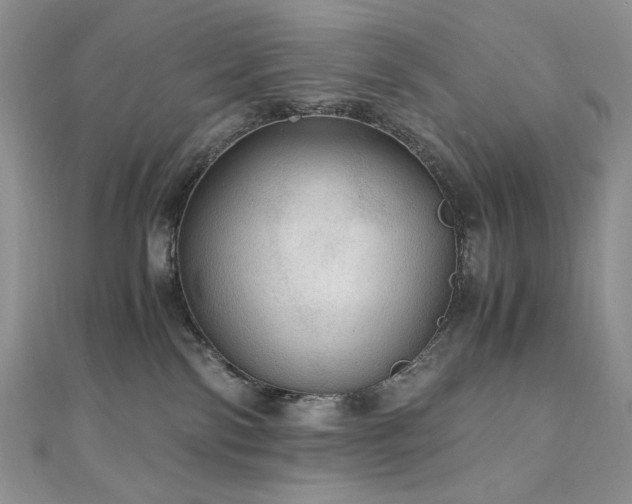 X0000110890138200906181253