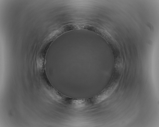 X0000110890139200906181253